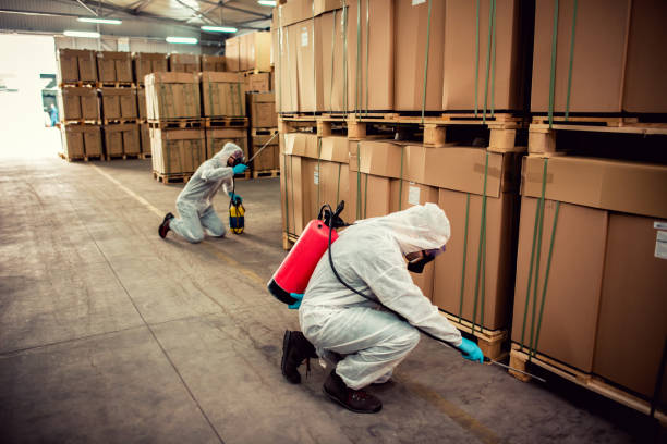 Best Exterminator Services  in Littleton Common, MA