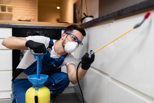 Best Best Pest Control Near Me  in Littleton Common, MA