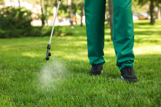 Best Cockroach Control Services  in Littleton Common, MA