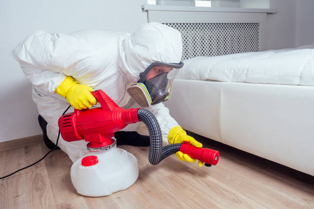 Best Wasp Removal Services  in Littleton Common, MA