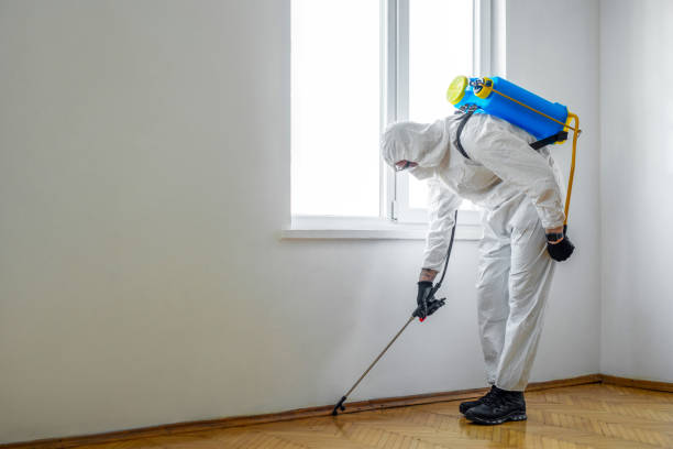 Best Exterminator Services  in Littleton Common, MA