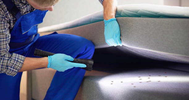 Best Termite Control Services  in Littleton Common, MA