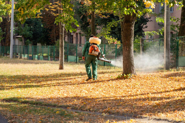 Best Emergency Pest Control  in Littleton Common, MA