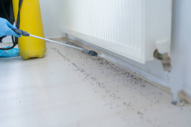 Pest Control Cost in Littleton Common, MA