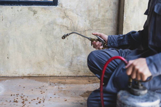 Best Pest Prevention Services  in Littleton Common, MA